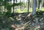 Argonne_37_v