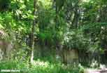 Argonne_04_v