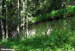 Argonne_05_v
