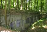 Argonne_13_v