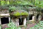 Argonne_86_v
