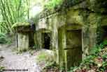 Argonne_89_v
