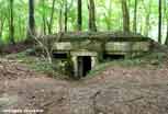 Argonne_90_v