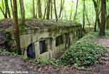 Argonne_91_v