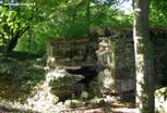 Argonne_61_v
