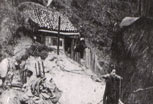 Argonne_25_v