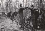 Argonne_26_v