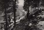 Argonne_29_v