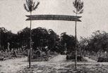 Argonne_31_v