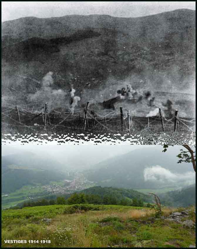 Braunkopf