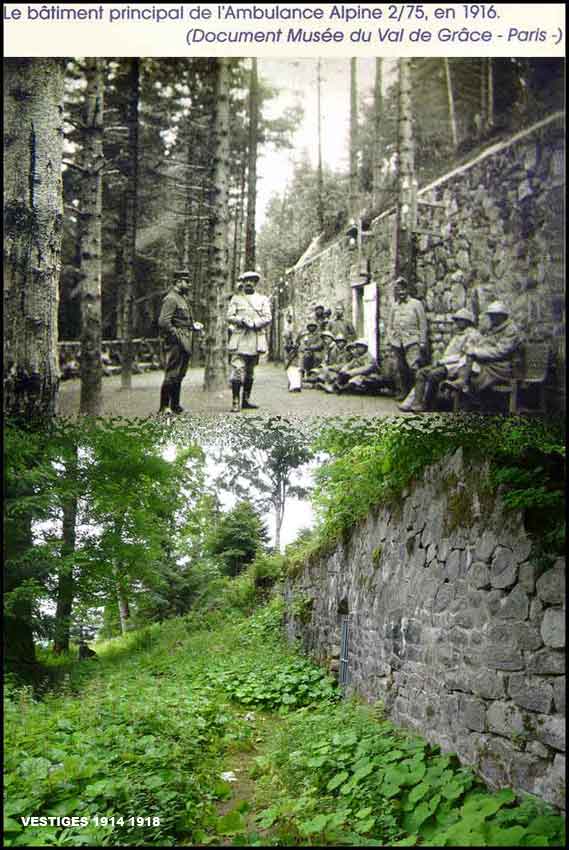 Reich_04