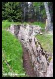 Linge_56_v