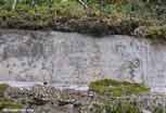 Linge_29_v