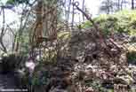 Linge_02_v