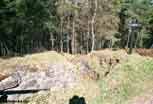 Linge_10_v