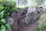 Linge_109_v