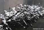 Linge_120_v