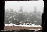 Linge_124_v