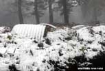 Linge_125_v