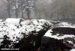 Linge_126_v