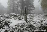 Linge_127_v