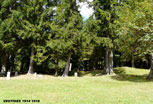 Verdun_301_v