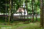 Verdun_310_v