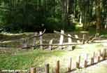 Verdun_311_v