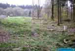 Verdun_384